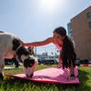 Staff practicing yoga outdoors with goats.